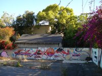 IMG_3995.jpeg