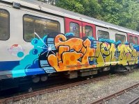 IMG_8052.jpeg