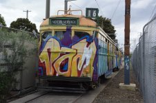 IMG_8110.jpeg