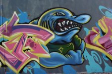 IMG_8131.jpeg