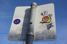IMG_8104.jpeg