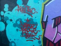 IMG_8059.jpeg