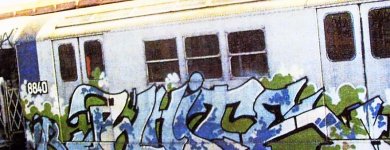 IMG_7930.jpeg