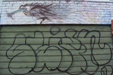 IMG_8338.jpeg