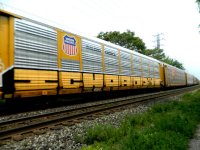 IMG_3989.jpeg