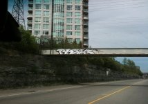 IMG_3990.jpeg