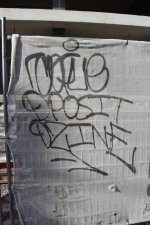 IMG_8521.jpeg