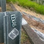 IMG_8523.jpeg
