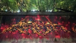 IMG_8515.jpeg