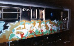 IMG_8527.jpeg