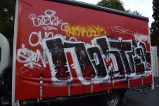 IMG_8551.jpeg