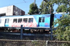 IMG_8550.jpeg