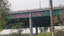 IMG_8884.jpeg