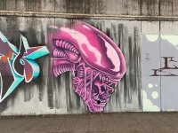 IMG_8821.jpeg