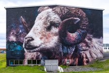 mural-of-an-icelandic-ram-with-cosmic-background-in-hellissandur-village.jpg