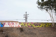 IMG_8883.jpeg