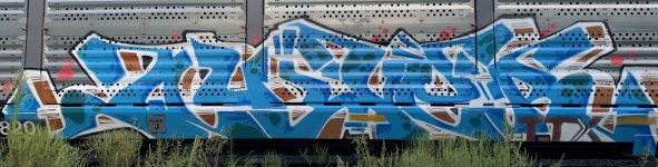 IMG_5787.jpeg