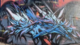 IMG_1603.jpeg