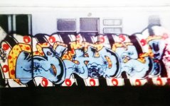 IMG_7934.jpeg