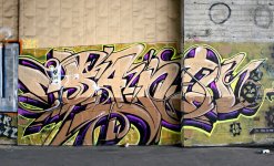 IMG_6350.jpeg