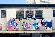 IMG_7929.jpeg