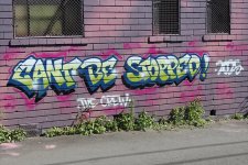 IMG_9280.jpeg