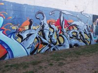 IMG_9822.jpeg