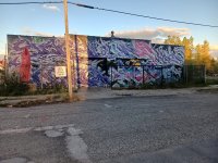 IMG_9817.jpeg