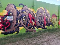 IMG_9812.jpeg