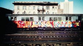 IMG_7931.jpeg
