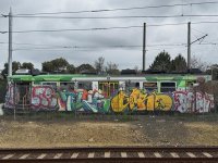 IMG_9557.jpeg