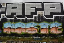 IMG_8898.jpeg