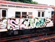 IMG_7933.jpeg