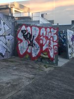 IMG_0708.jpeg