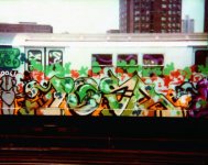 IMG_7932.jpeg