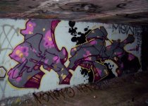 IMG_0278.jpeg