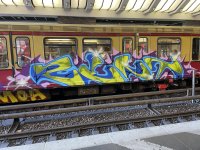 graffiti-on-trains-v0-nqcm0odcjque1.jpg