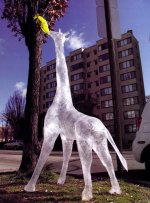 Adbusters #71 - The Global Movement-17.jpg