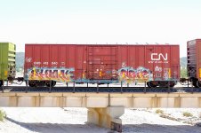 Freight_Train_Graffiti_-_SoCal_-_5-23-2020_(49928968576).jpg