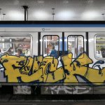 IMG_4920.jpeg IMG_4920.jpeg