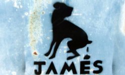 james_dog_stencil~01.jpg