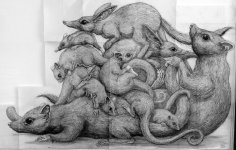 deansunshine_lando2016-25 (1).jpg