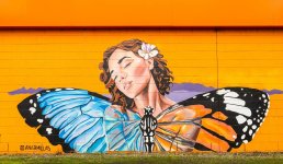 Moe-street-art-and-murals-lady-with-butterfly-wings-Nathsway-2023_a4c6e964b3bbb5d614accc529974...jpg