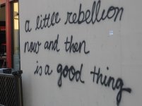 fun-graffiti-hehe-life-politics-quote-favim_com-40595.jpg