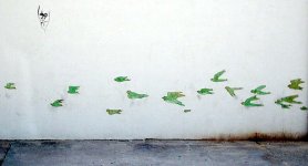 birds_pasteup~01.jpg