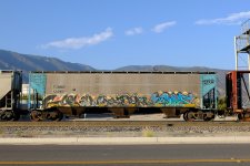 Freight_Train_Graffiti_July_14th_2020_(50131337233).jpg