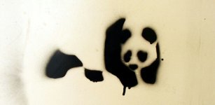 panda_stencil~01.jpg