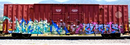 Benching_Freight_Train_Graffiti_-_July_4th_2020_(50080924408).jpg