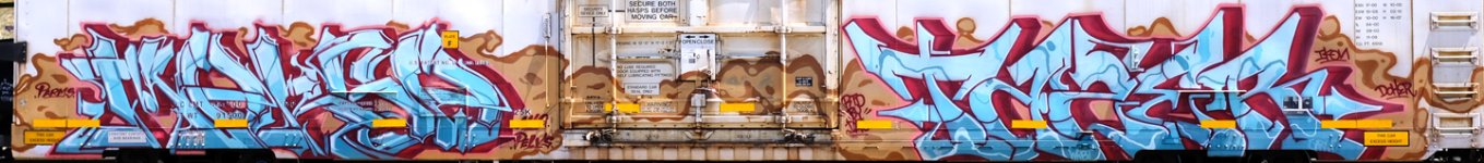 Benching_Freight_Train_Graffiti_-_July_4th_2020_(50081506246).jpg