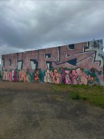 IMG_9925.jpeg